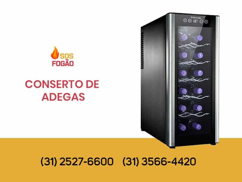 thumb conserto adegas